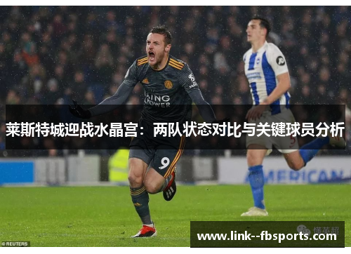 莱斯特城迎战水晶宫：两队状态对比与关键球员分析